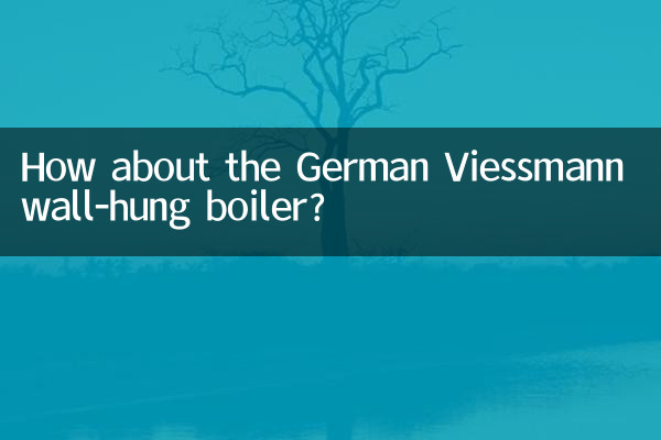 জার্মান ভিসম্যান ওয়াল-হ্যাং বয়লার সম্পর্কে কেমন?