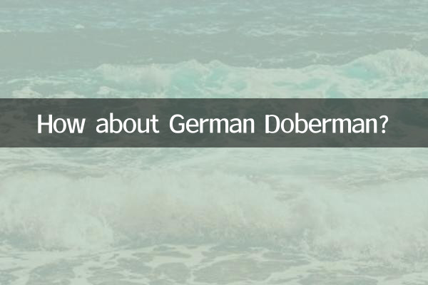 জার্মান ডোবারম্যান কেমন?