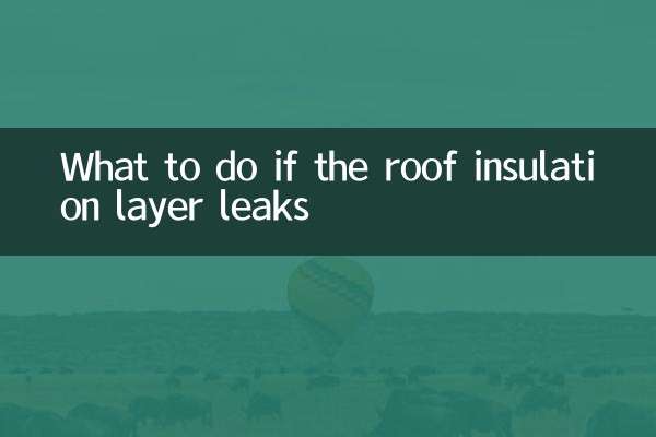 What to do if the roof insulation layer leaks
