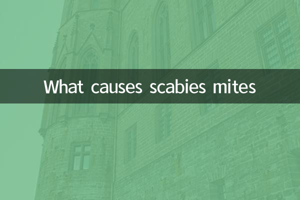 Cosa provoca gli acari della scabbia