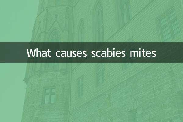 কী কারণে স্ক্যাবিস মাইট হয়