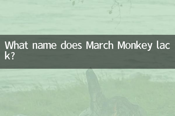 Welcher Name fehlt March Monkey?