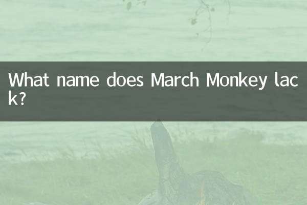 Welcher Name fehlt March Monkey?
