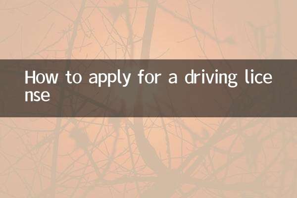 怎麼辦理代駕証