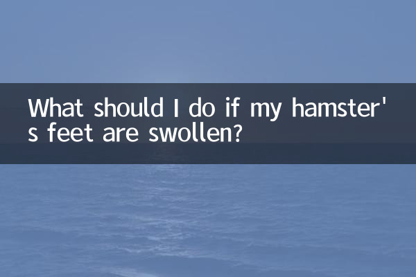 ¿Qué debo hacer si las patas de mi hámster están hinchadas?