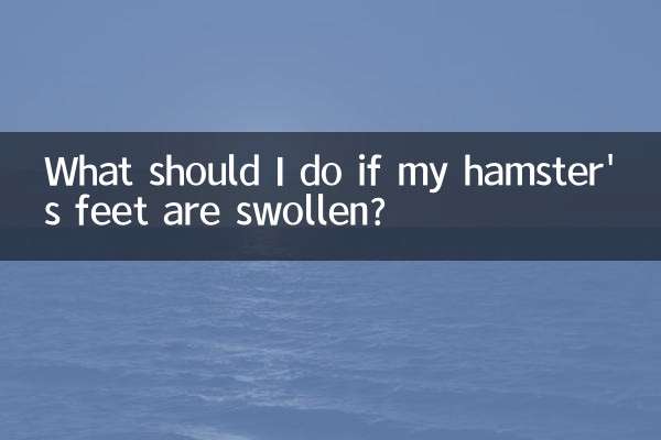 اگر پای همسترم متورم شد چه کار کنم؟