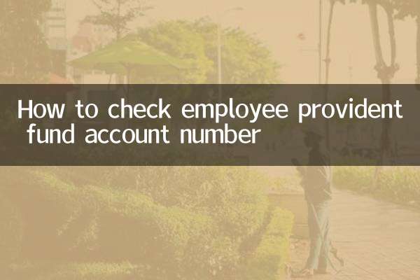 Как проверить номер счета резервного фонда сотрудника