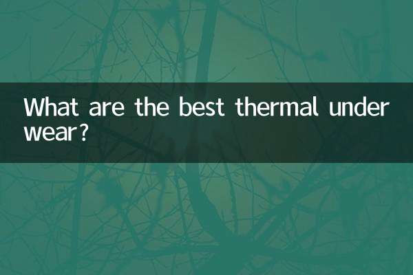 最高の保温下着は何ですか？