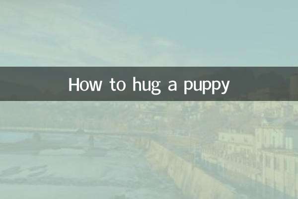 How to hug a puppy