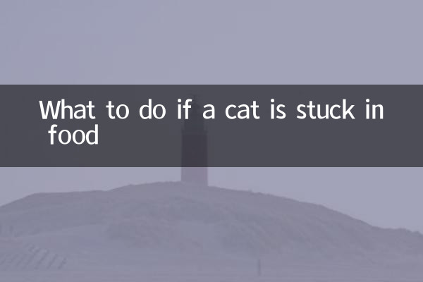 Que faire si un chat est coincé dans la nourriture