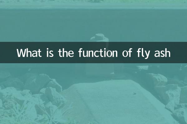 Was ist die Funktion von Flugasche?