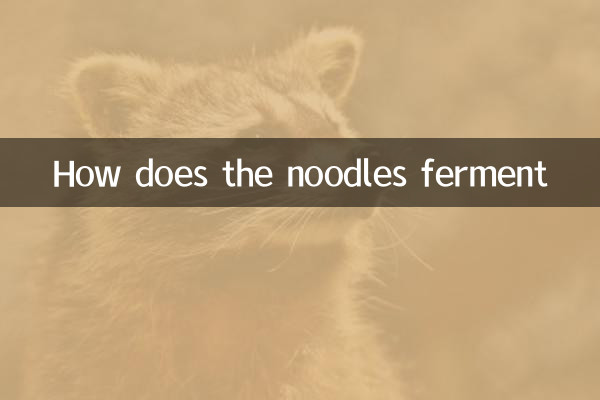 Wie fermentiert die Nudeln
