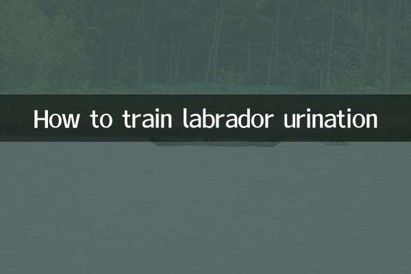 How to train labrador urination