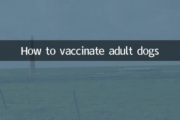 成年狗怎麼打疫苗
