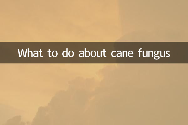 O que fazer com o fungo da cana