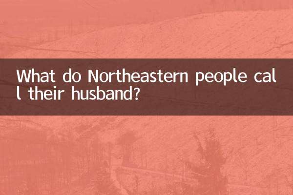 पूर्वोत्तर लोग अपने पति को क्या कहते हैं?