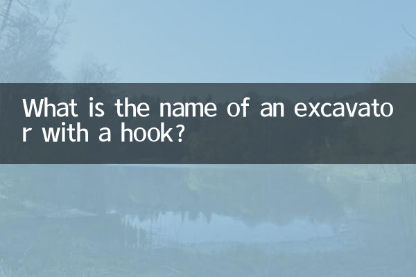 What is the name of an excavator with a hook?