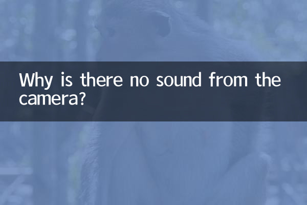 카메라에서 소리가 나지 않는 이유는 무엇입니까?