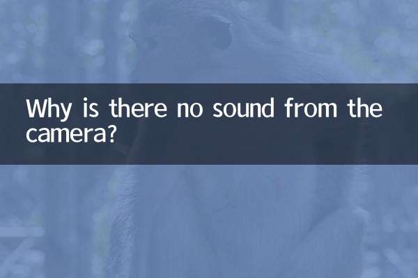 카메라에서 소리가 나지 않는 이유는 무엇입니까?