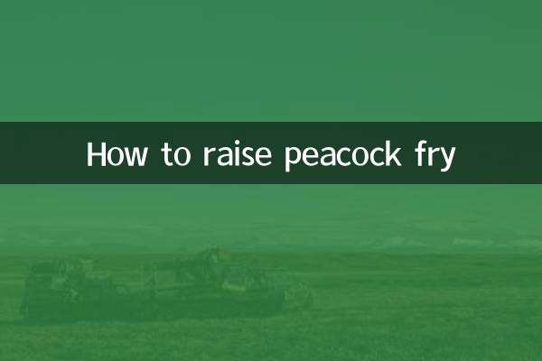 چگونه بچه طاووس را پرورش دهیم