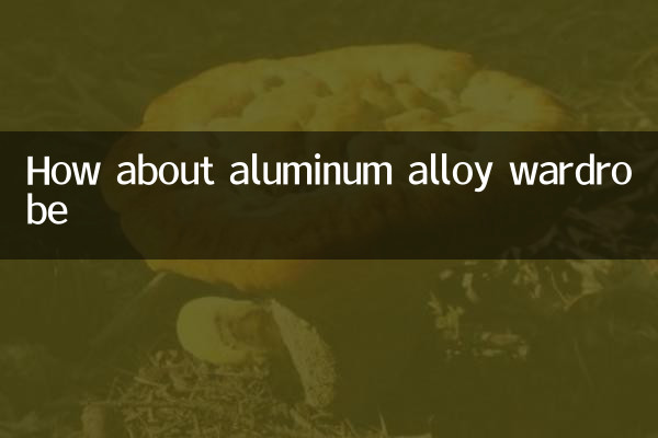 알루미늄 합금 옷장은 어떻습니까?