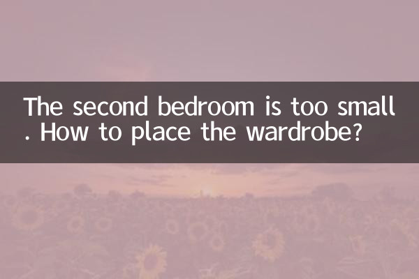 The second bedroom is too small. How to place the wardrobe?