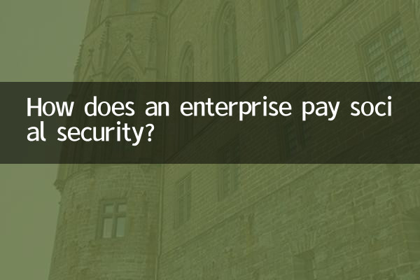 企业怎么交社保