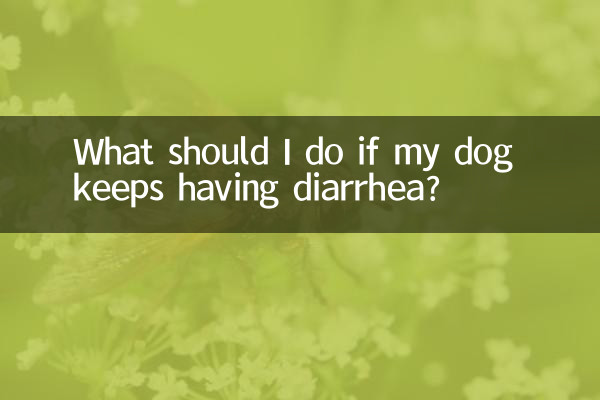 What should I do if my dog keeps having diarrhea?