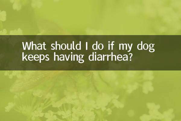 Что делать, если у моей собаки продолжается диарея?