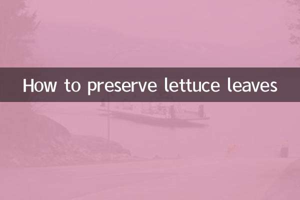 Comment conserver les feuilles de laitue