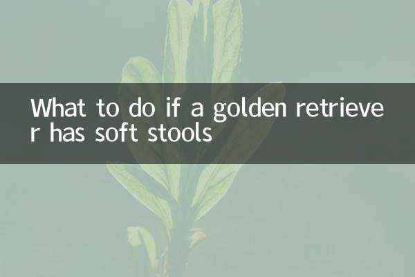 What to do if a golden retriever has soft stools