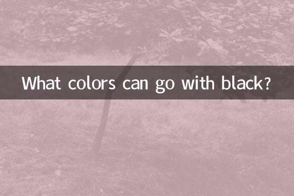 黒に合う色は何色ですか？