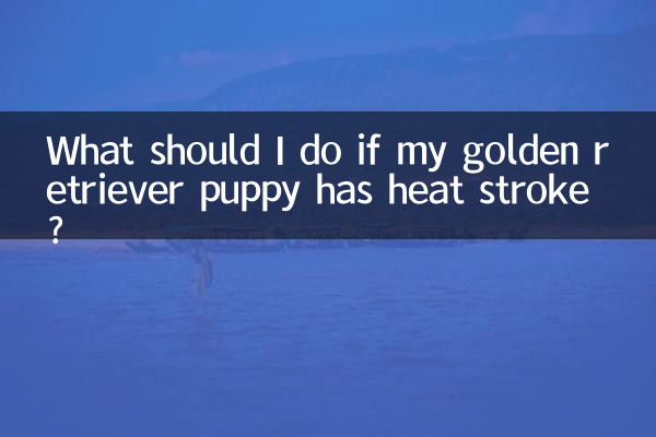 金毛幼犬中暑了怎麼辦