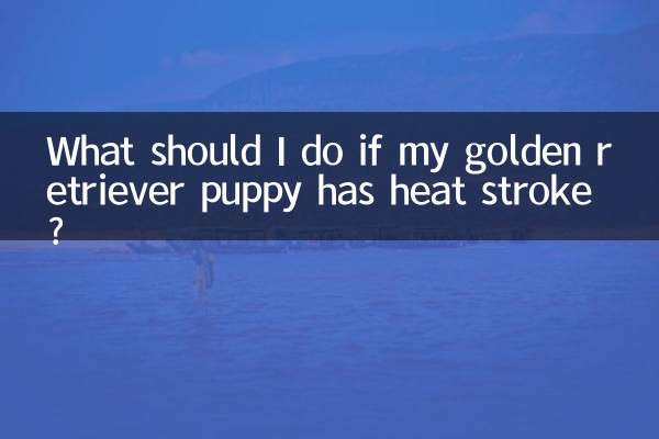 金毛幼犬中暑了怎麼辦