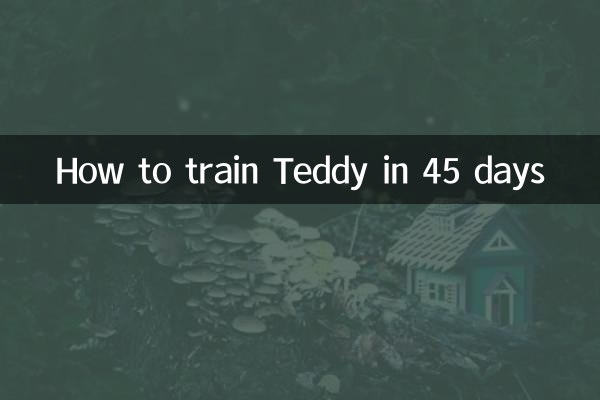 How to train Teddy in 45 days