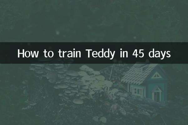 How to train Teddy in 45 days