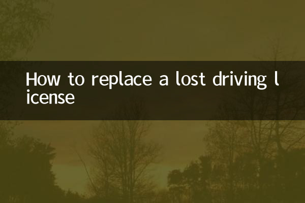 How to replace a lost driving license