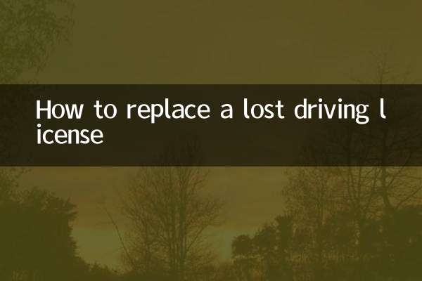 How to replace a lost driving license