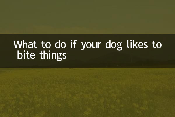 What to do if your dog likes to bite things