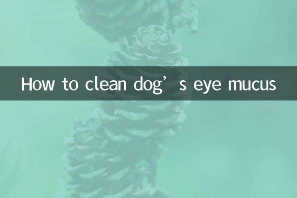 犬の目やにをきれいにする方法