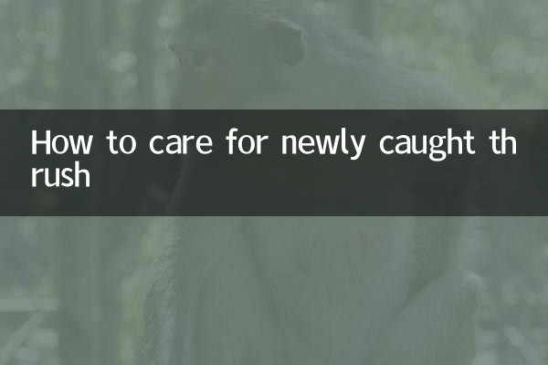 نئے پکڑے گئے تھروش کی دیکھ بھال کیسے کریں