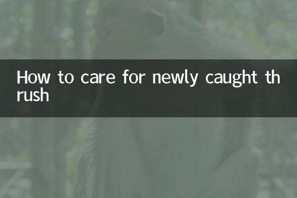 Cómo cuidar un tordo recién atrapado