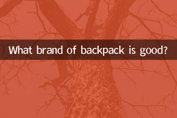 ما هي ماركة حقيبة الظهر الجيدة؟