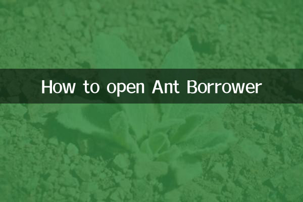 Как открыть Ant заемщик