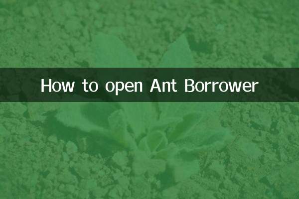 Как открыть Ant заемщик