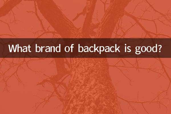 ما هي ماركة حقيبة الظهر الجيدة؟