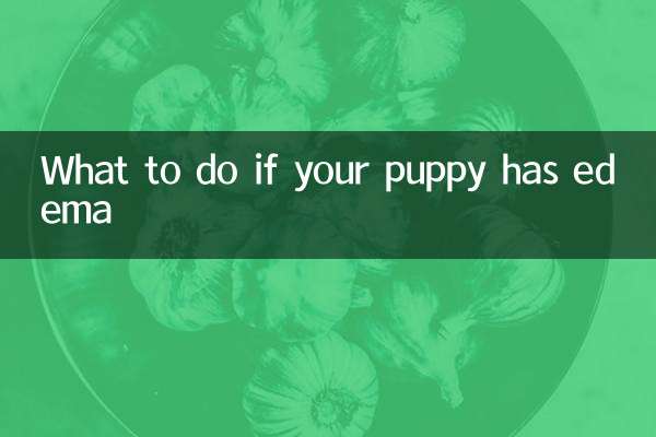 আপনার কুকুরছানা এডিমা হলে কি করবেন