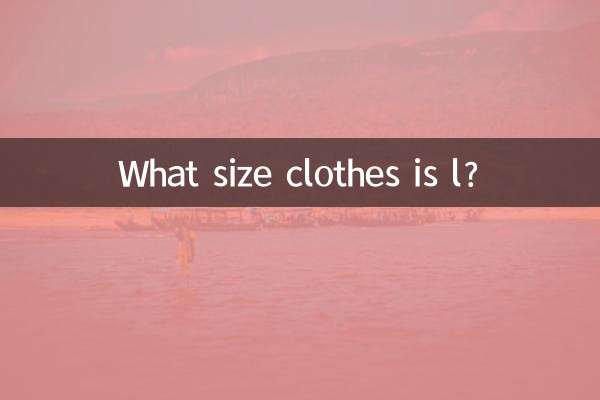 Welche Kleidergröße hat L?