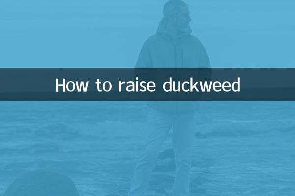 How to raise duckweed