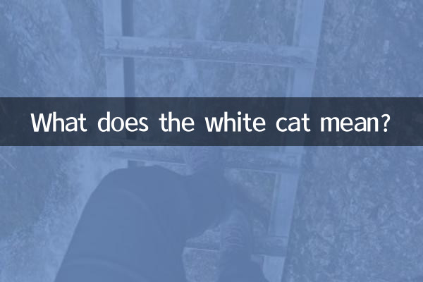 ¿Qué significa el gato blanco?
